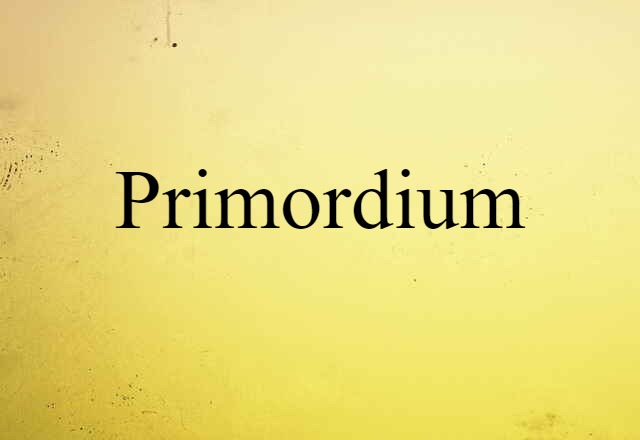 primordium