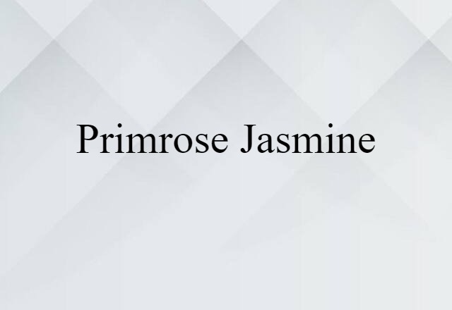 primrose jasmine