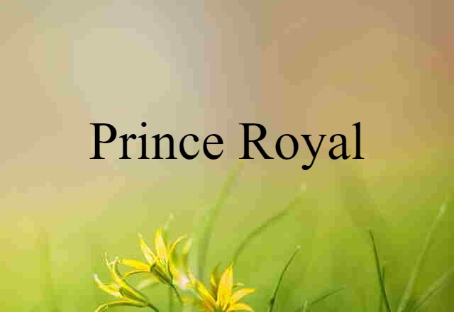 prince royal