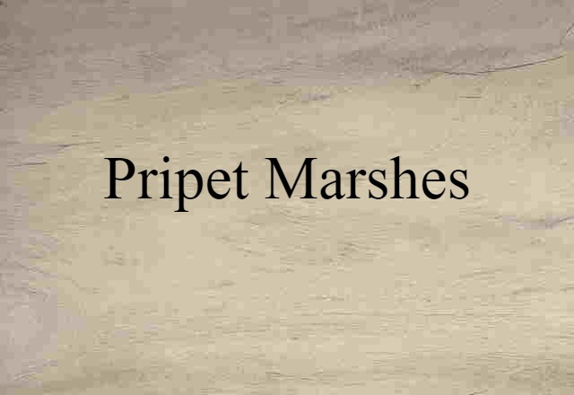 Pripet Marshes (noun) Definition, Meaning & Examples