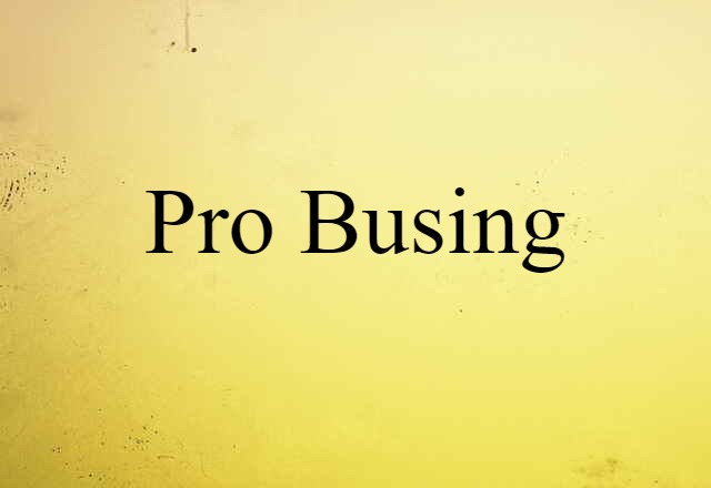 Pro Busing (noun) Definition, Meaning & Examples