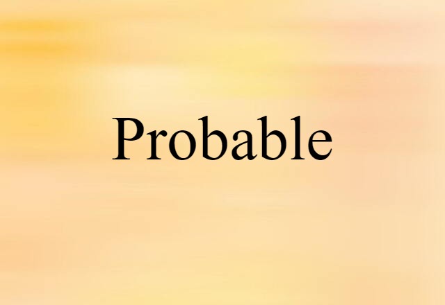 Probable (noun) Definition, Meaning & Examples