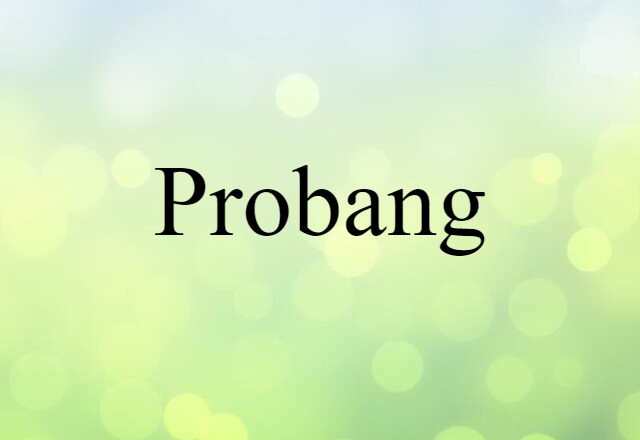 Probang (noun) Definition, Meaning & Examples