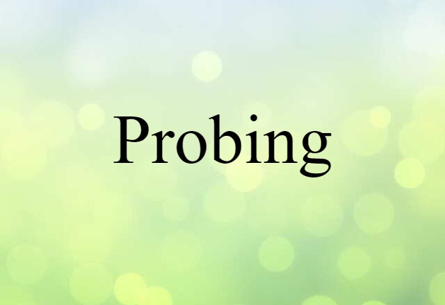 Probing (noun) Definition, Meaning & Examples