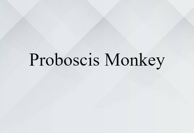 proboscis monkey