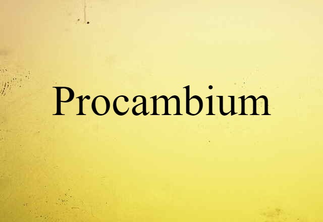 procambium