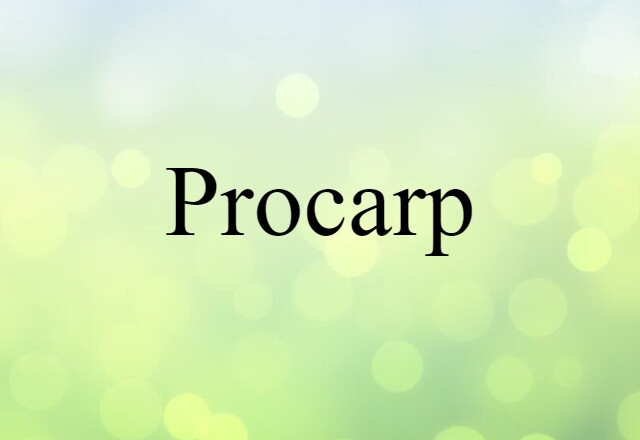 Procarp (noun) Definition, Meaning & Examples