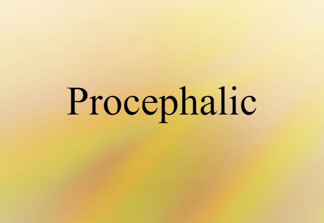 Procephalic (noun) Definition, Meaning & Examples