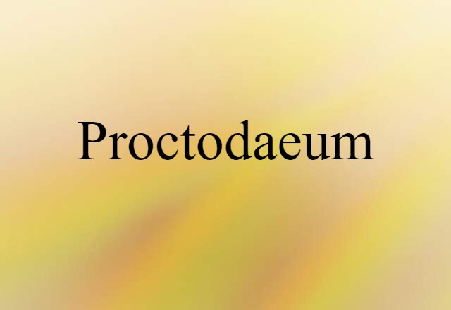 proctodaeum