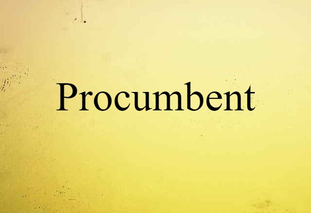 procumbent