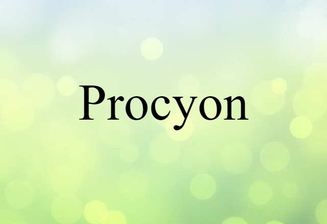 Procyon