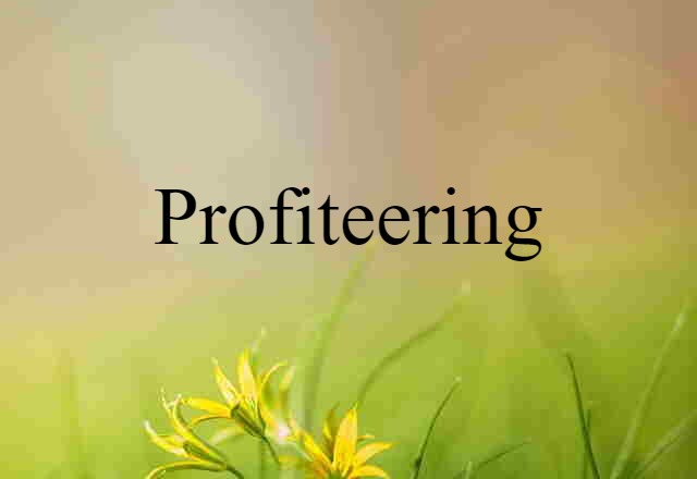 Profiteering (noun) Definition, Meaning & Examples