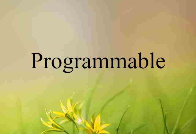 programmable