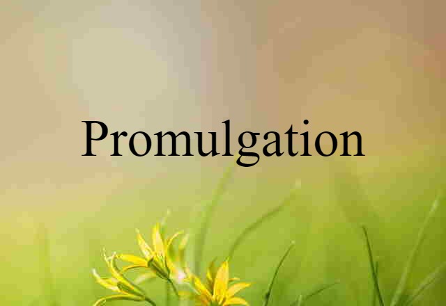 Promulgation (noun) Definition, Meaning & Examples