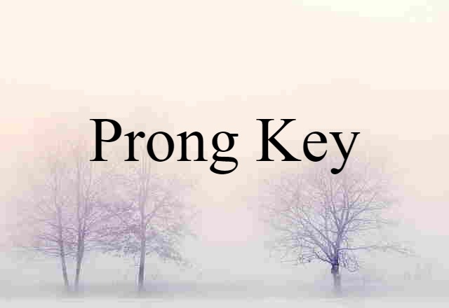 prong key