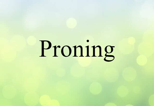 Proning (noun) Definition, Meaning & Examples