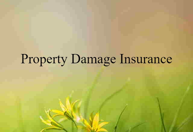 Property Damage Insurance (noun) Definition, Meaning & Examples