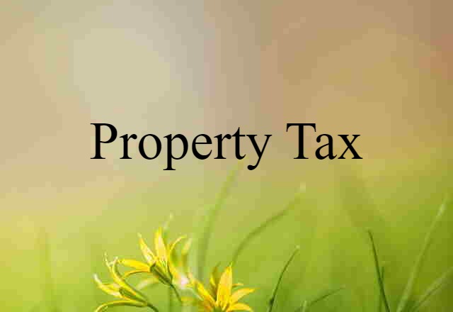 Property Tax (noun) Definition, Meaning & Examples