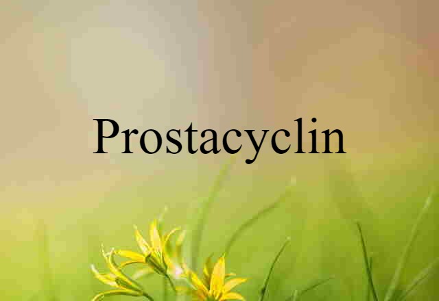 Prostacyclin (noun) Definition, Meaning & Examples