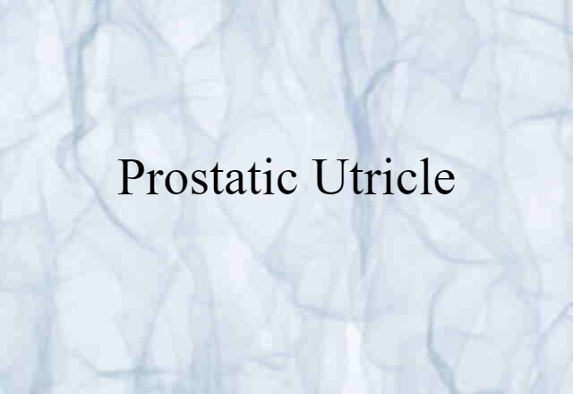 Prostatic Utricle (noun) Definition, Meaning & Examples