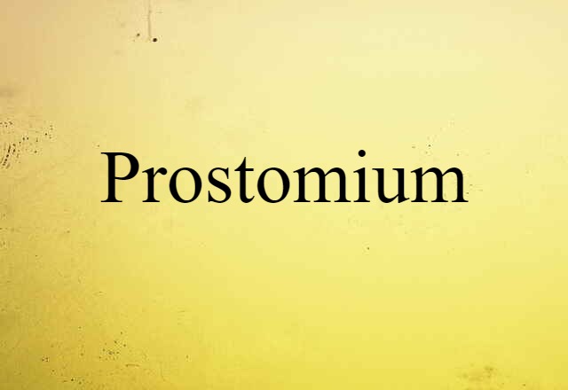 prostomium