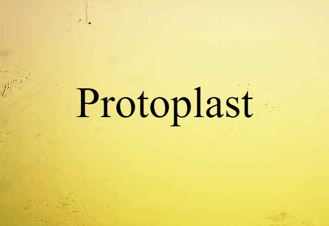 protoplast