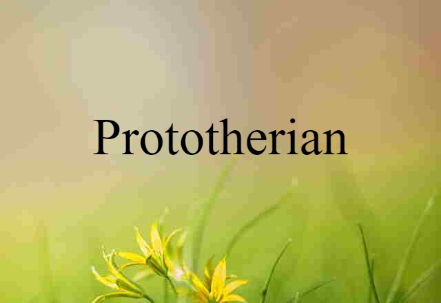 Prototherian (noun) Definition, Meaning & Examples