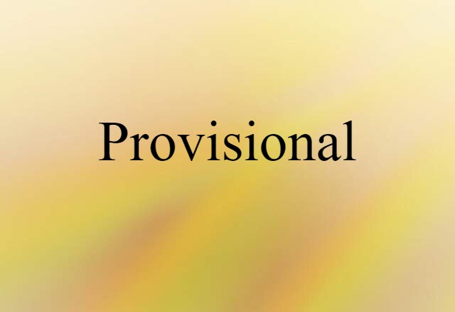 Provisional (noun) Definition, Meaning & Examples