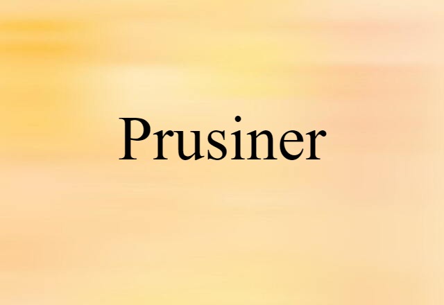 Prusiner (noun) Definition, Meaning & Examples