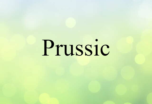 Prussic (noun) Definition, Meaning & Examples