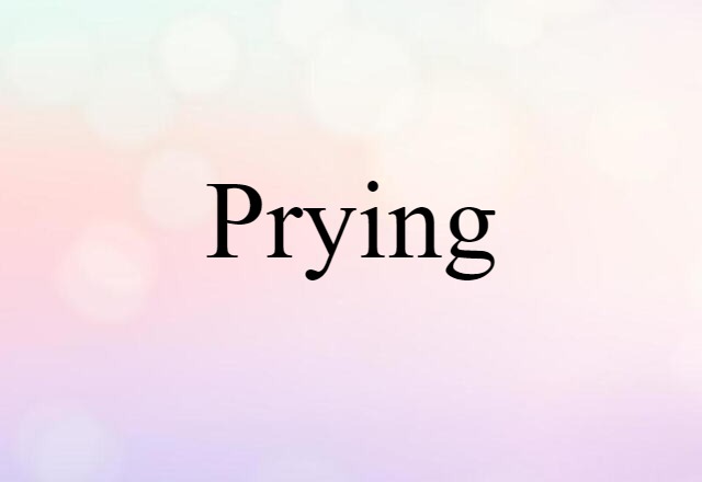 Prying (noun) Definition, Meaning & Examples