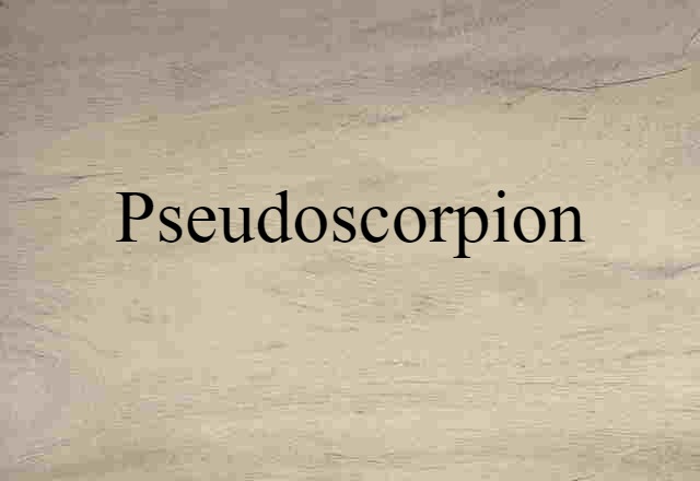 Pseudoscorpion (noun) Definition, Meaning & Examples