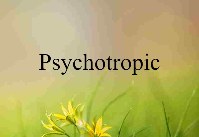 Psychotropic (noun) Definition, Meaning & Examples