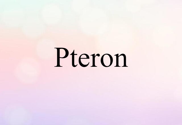 Pteron (noun) Definition, Meaning & Examples