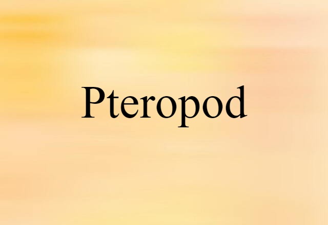 pteropod