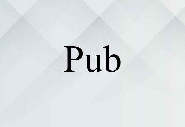 Pub (noun) Definition, Meaning & Examples