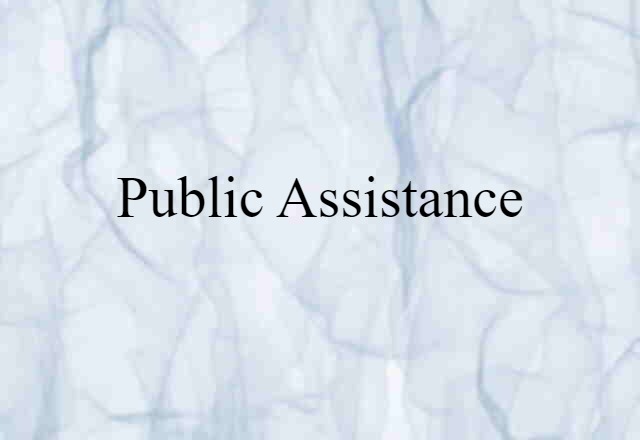 Public Assistance (noun) Definition, Meaning & Examples