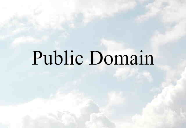 Public Domain (noun) Definition, Meaning & Examples