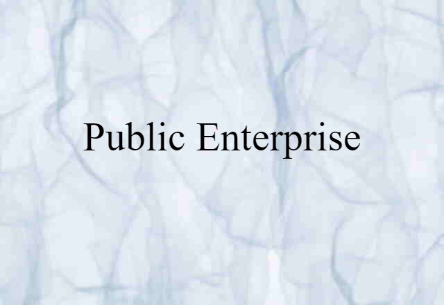 public enterprise