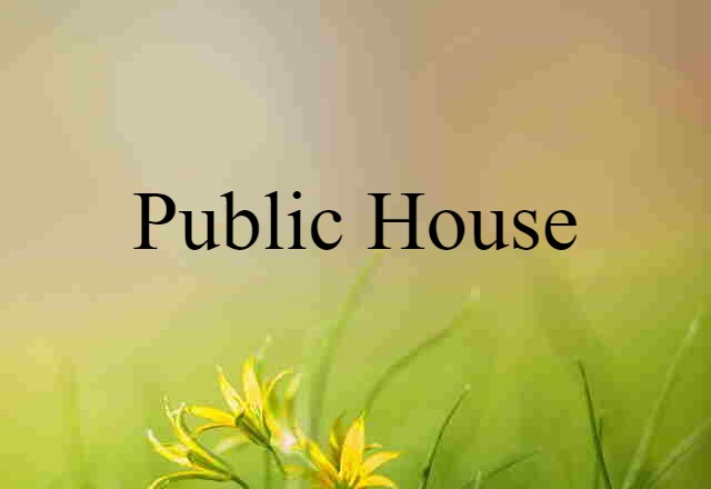 Public House (noun) Definition, Meaning & Examples