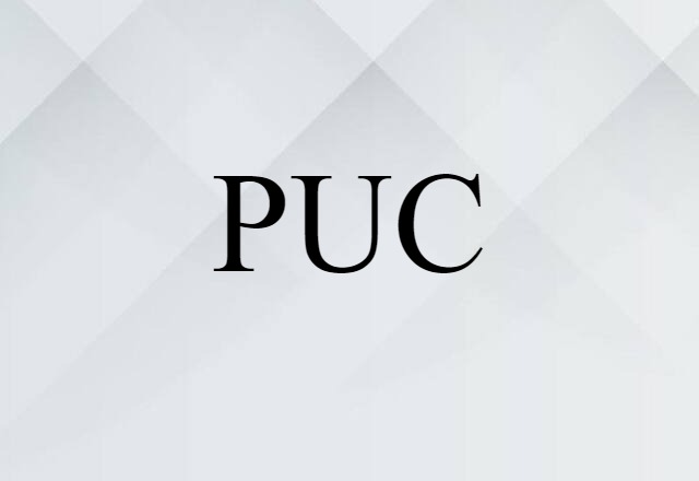 PUC (noun) Definition, Meaning & Examples