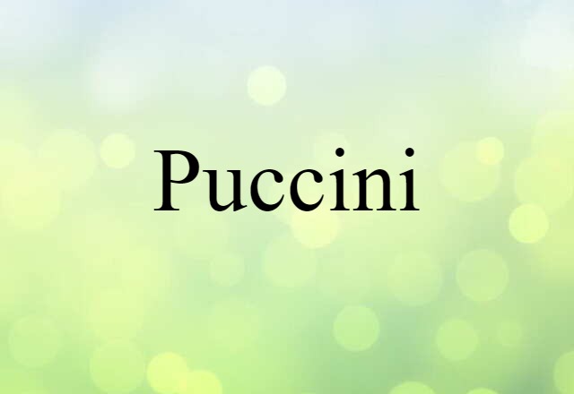 Puccini (noun) Definition, Meaning & Examples