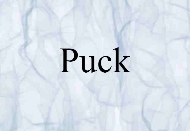 Puck (noun) Definition, Meaning & Examples