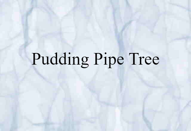 pudding-pipe tree