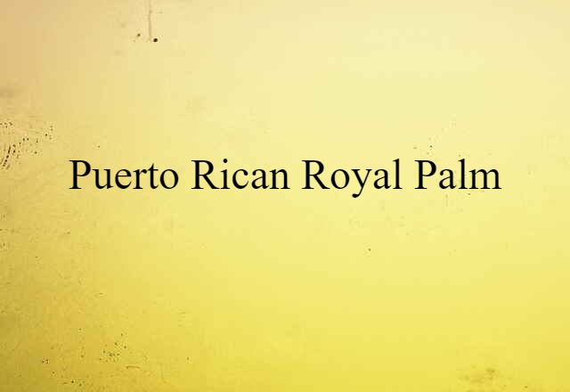 Puerto Rican royal palm