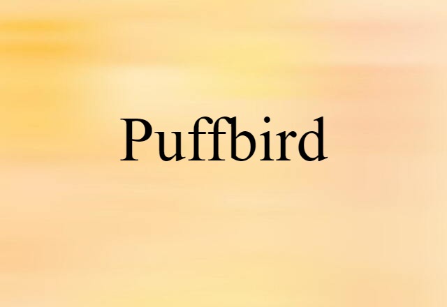 Puffbird (noun) Definition, Meaning & Examples