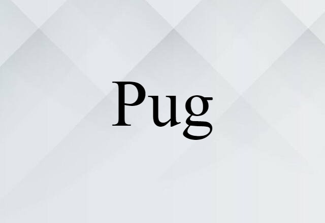 pug