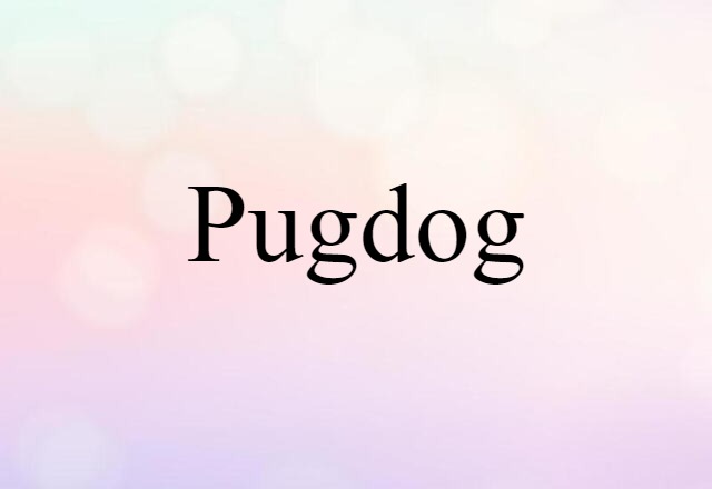 pugdog