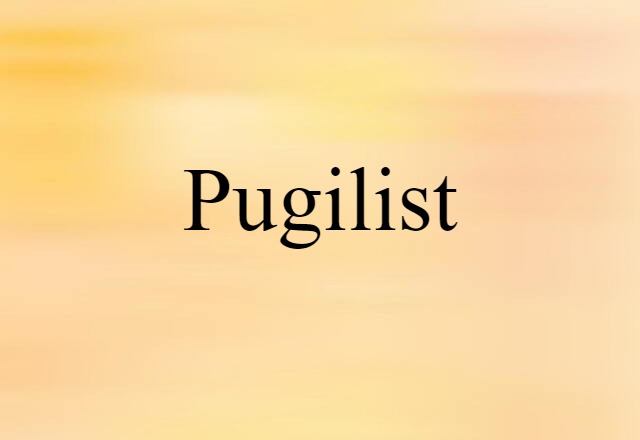 Pugilist (noun) Definition, Meaning & Examples