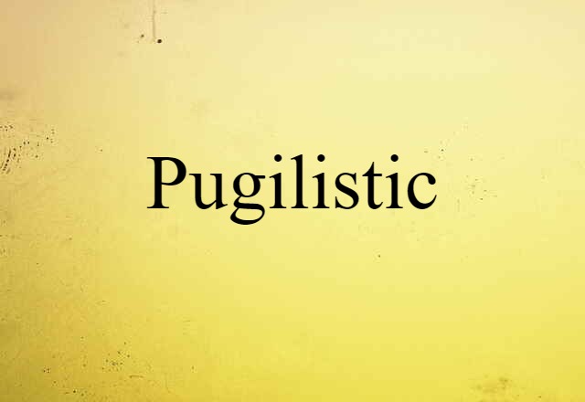 Pugilistic (noun) Definition, Meaning & Examples